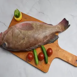 هامور مقلي